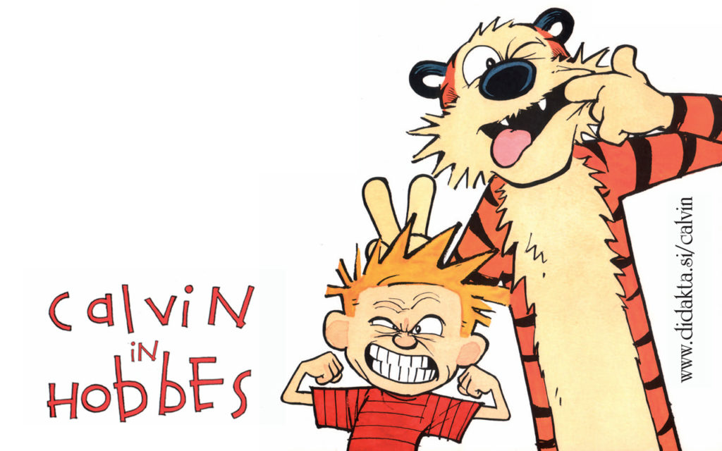 Calvin calvin