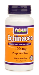 Echinacea-now