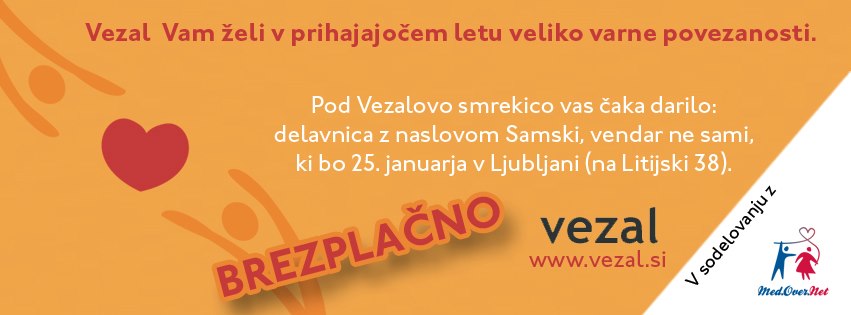 vezal delavnica