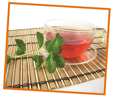 stevia-caj