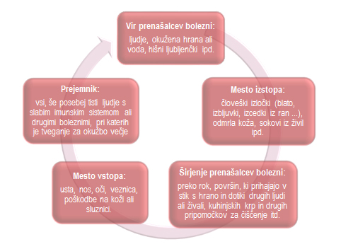 stanovanje_cistoca