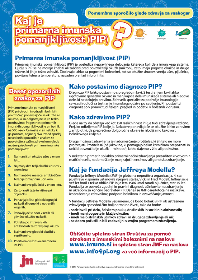 predstavitev_pip_plakat_2