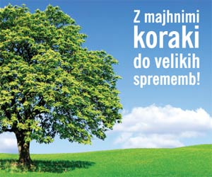 med_over_net_boljsi-svet_300x250