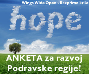 wingswideopen300x250