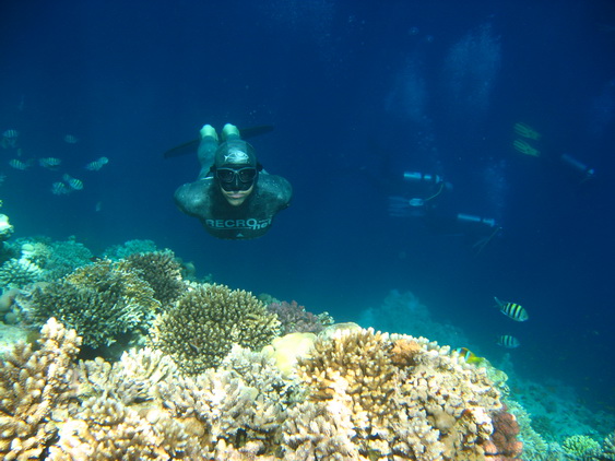 apnea_Red Sea (autor Slaven Cubric)
