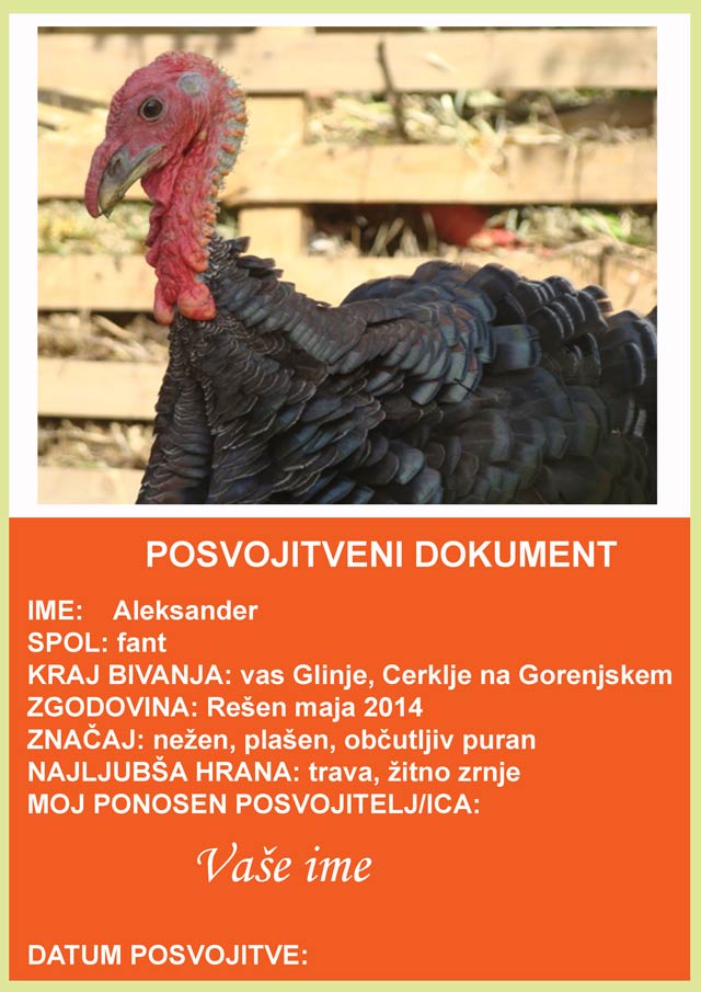 posvojitveni-dokument-A4