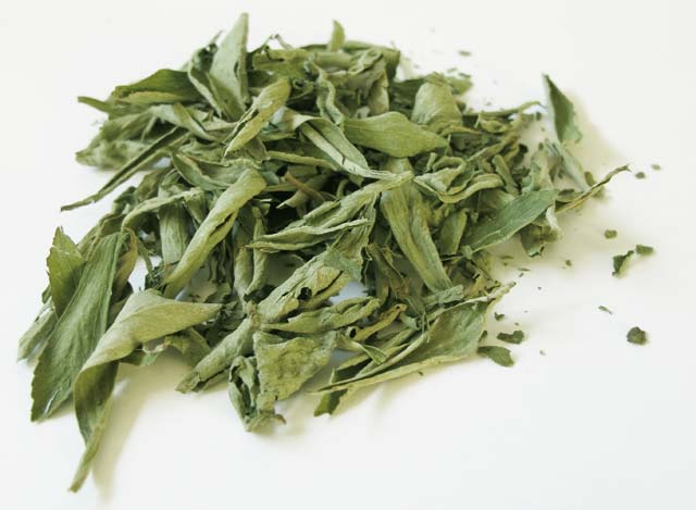 Stevia listi