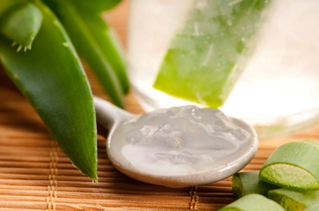 aloe-vera