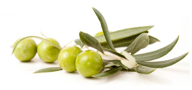 prirodno liječenje osteoporoze