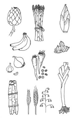 kako-se-prehranjevati-brez-mesa