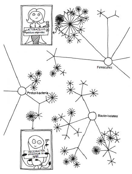 recite-ne-antibiotikom
