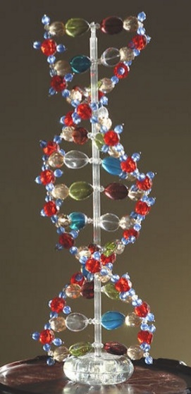 dna