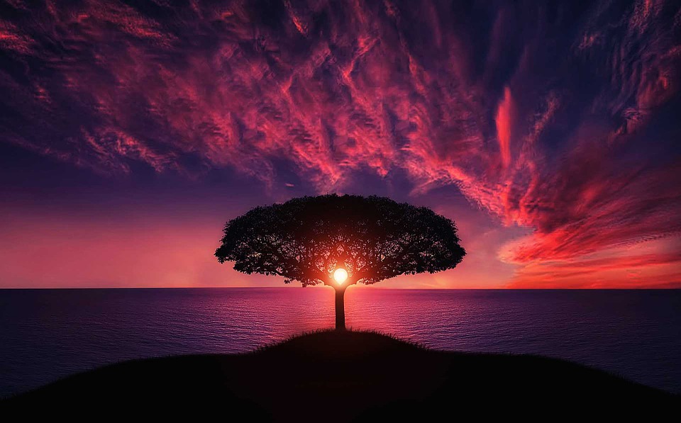 amazing-736885_960_720