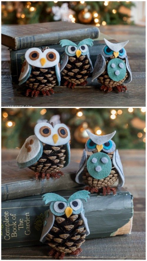 owls