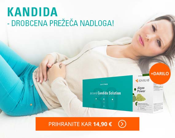 sensilab-kandida-artikel