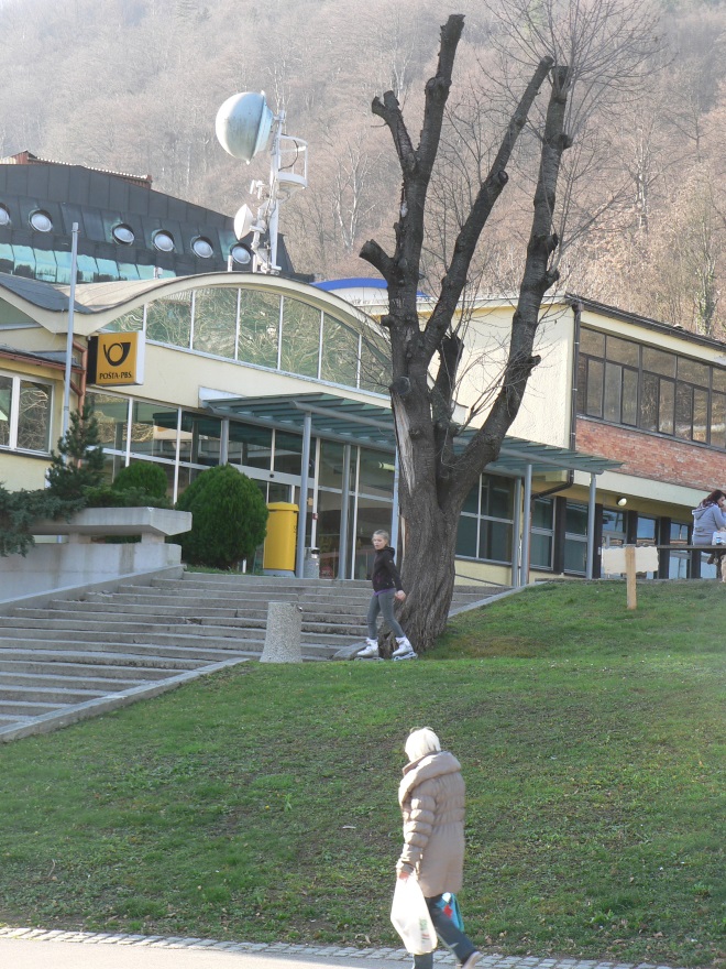 nepravilno obrezovanje