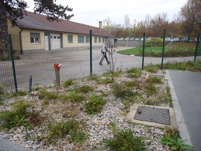 nepravočasna in nestrokovna oskrba