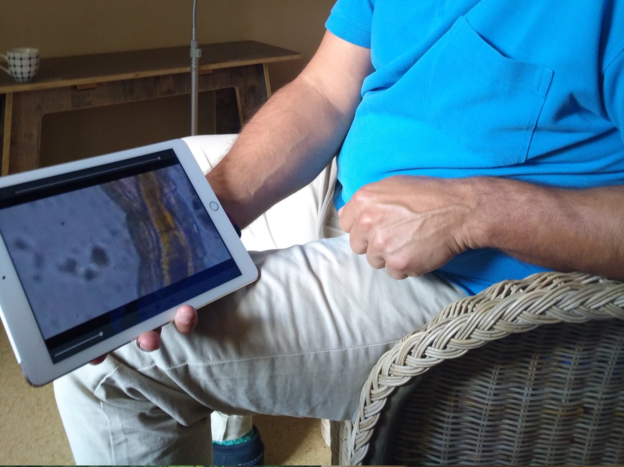  Silvio Pililini o mikroorganizmih