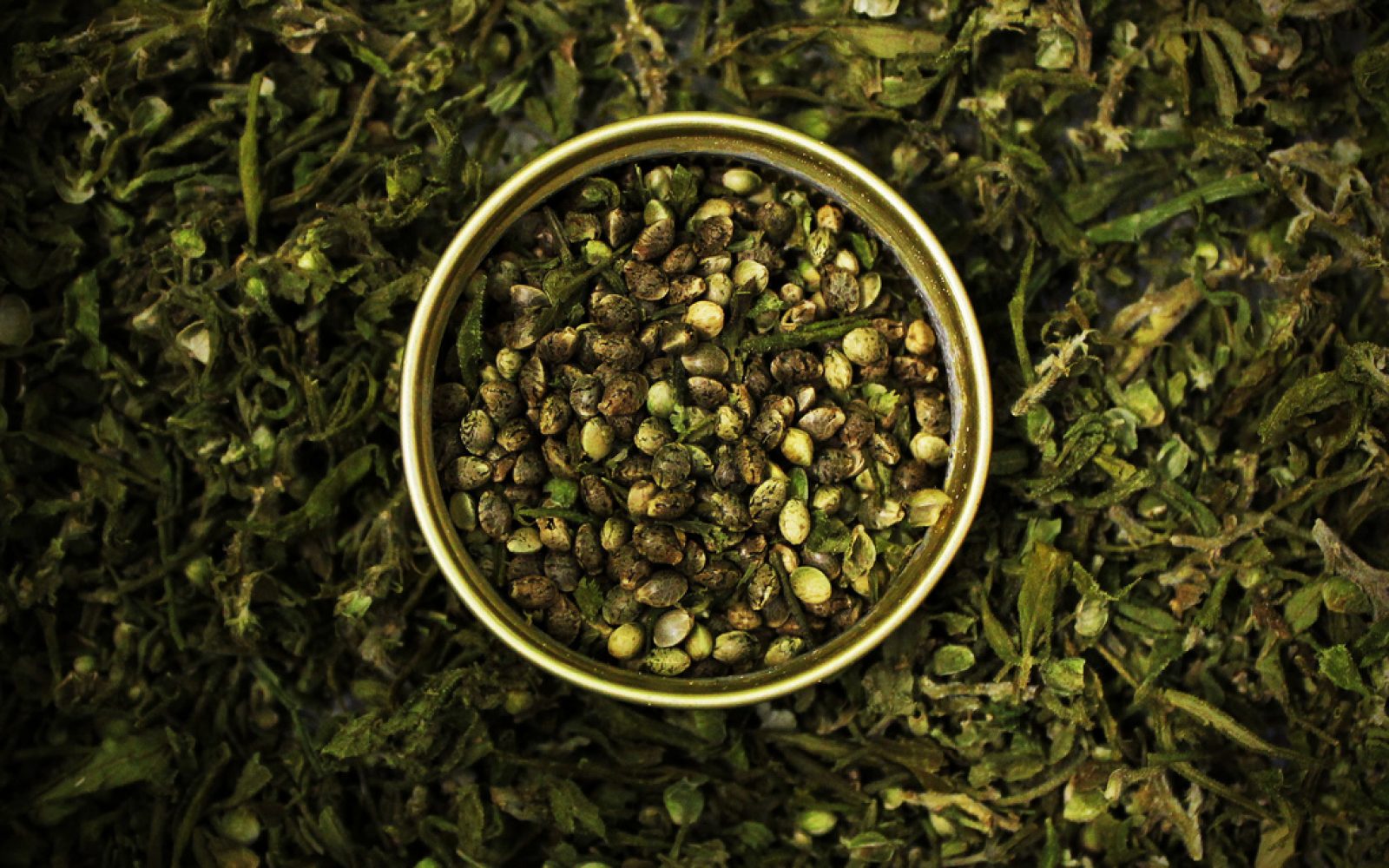 cover konoplja cbd olje uporaba