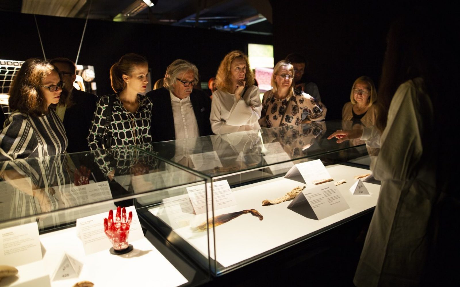 body worlds predavanja