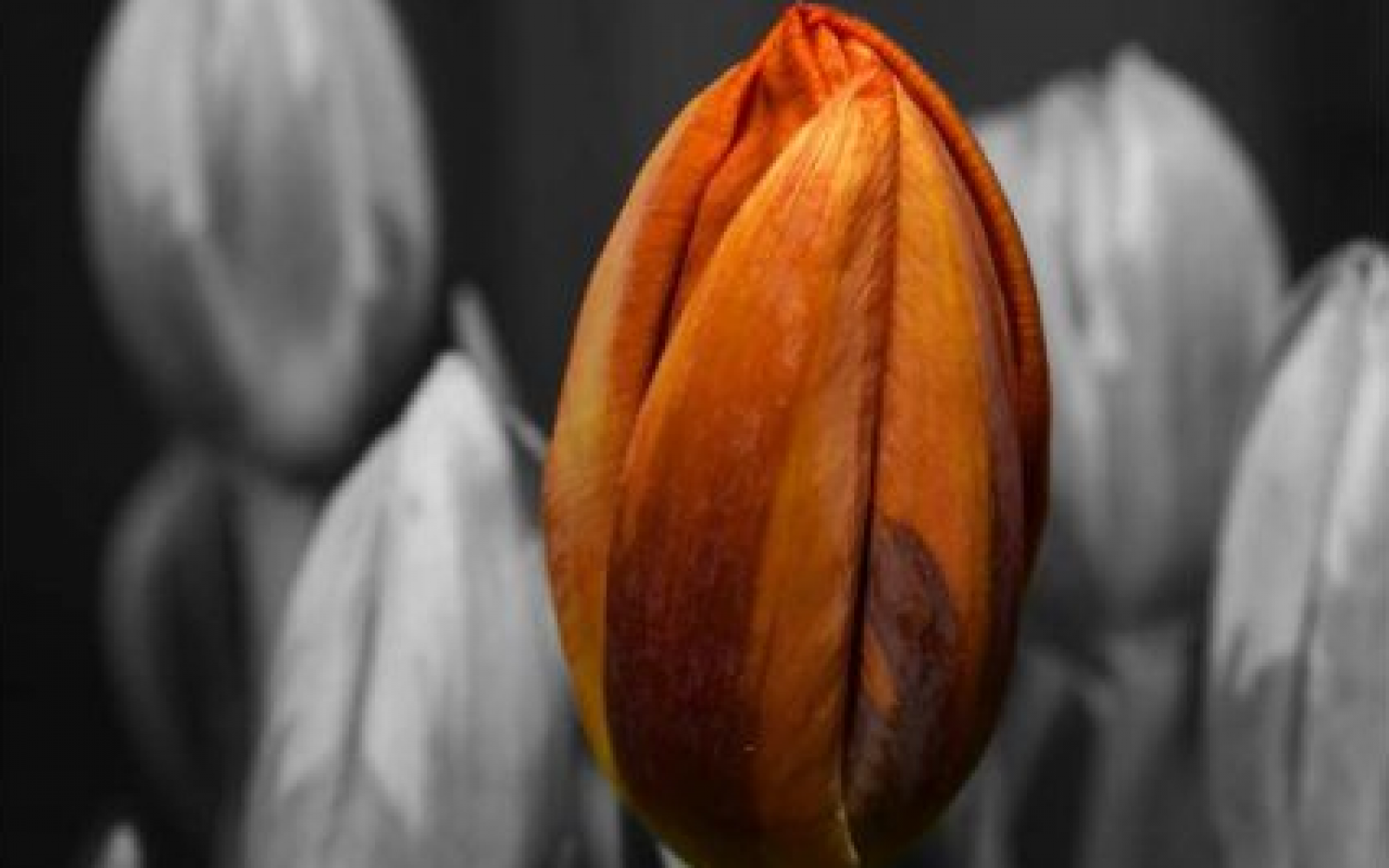 vikend za žalujoče HOSPIC