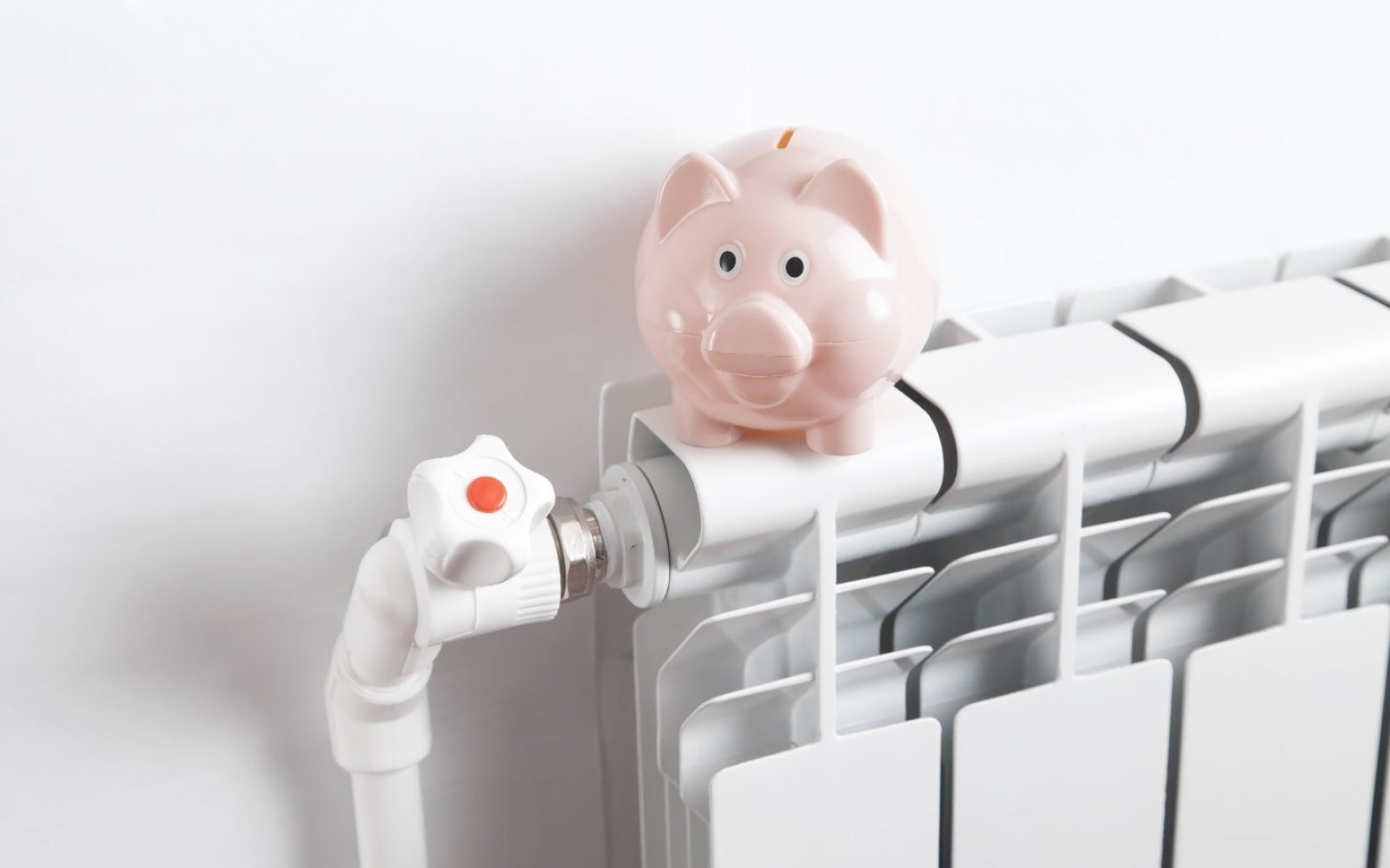 A picture containing indoor, white, toy  Description automatically generated