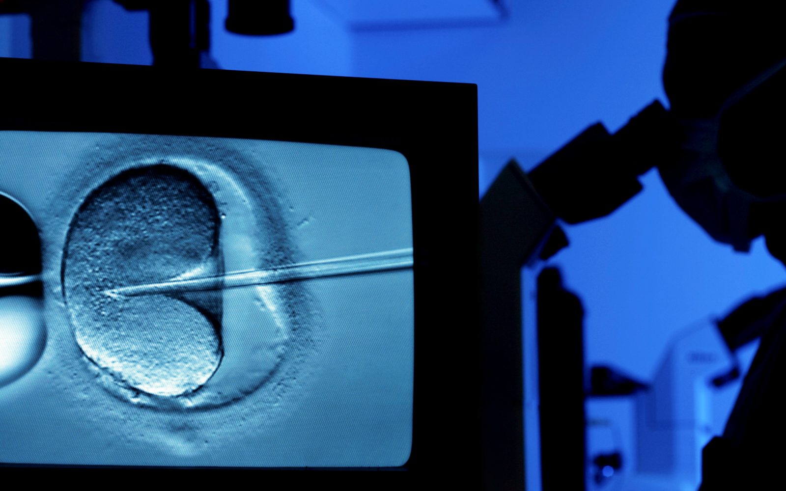 Zunajtelesna oploditev