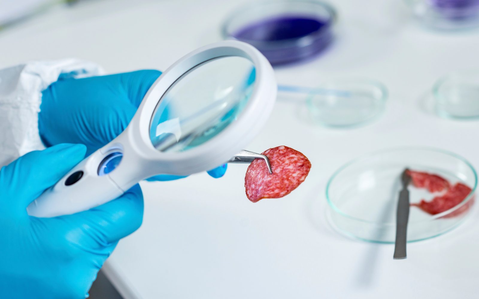 Odpoklic živil, pregled hrane