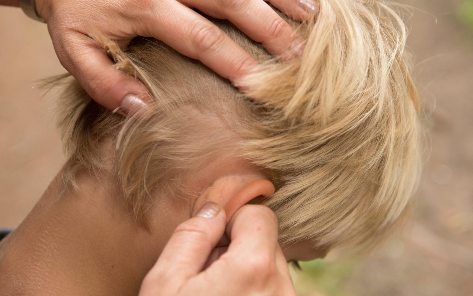 uši, pregled lasišča,