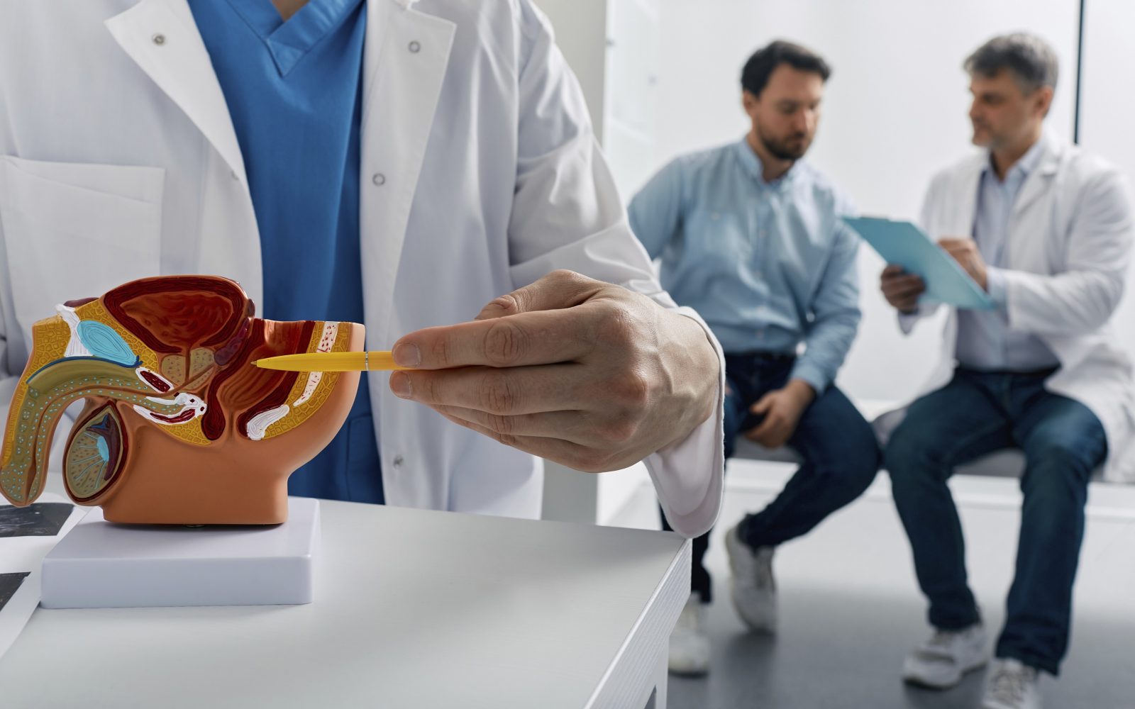 Urologija, konceptualna slika