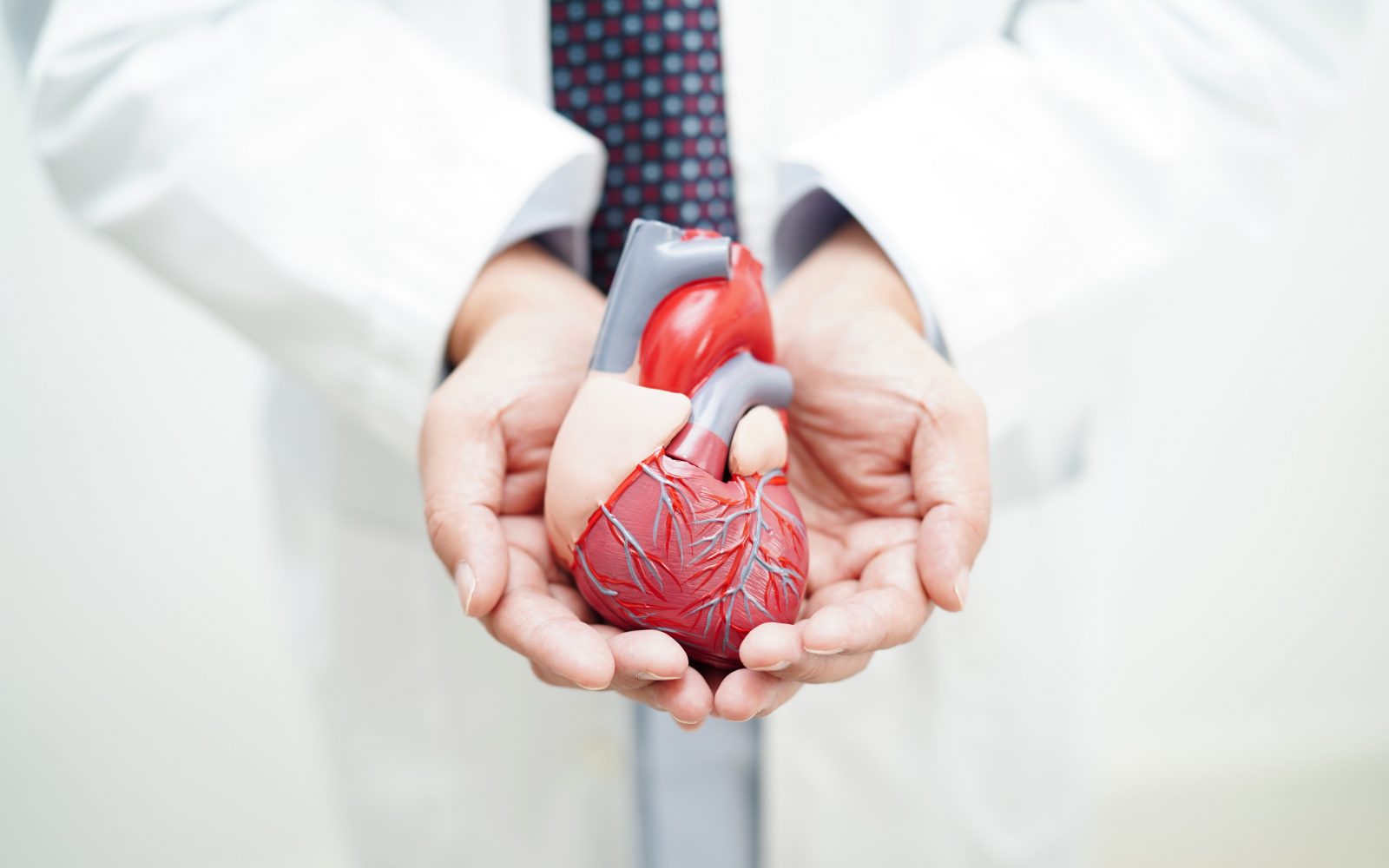 srce, zdravnik