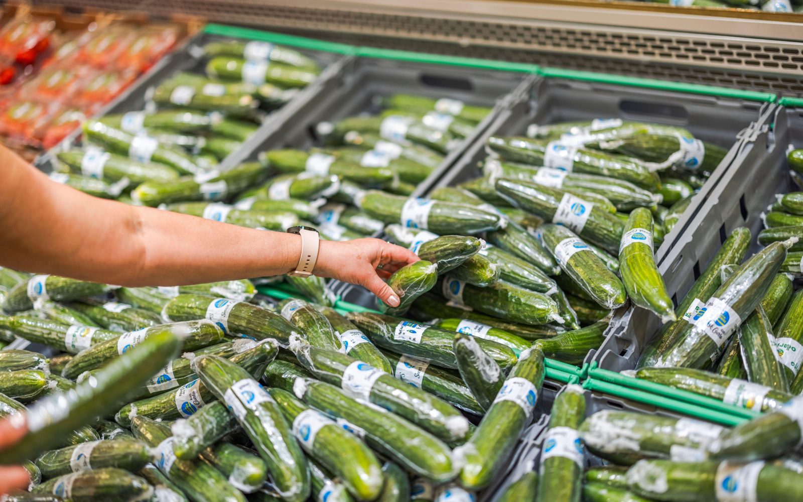 Nekdo izbira kumaro v trgovini