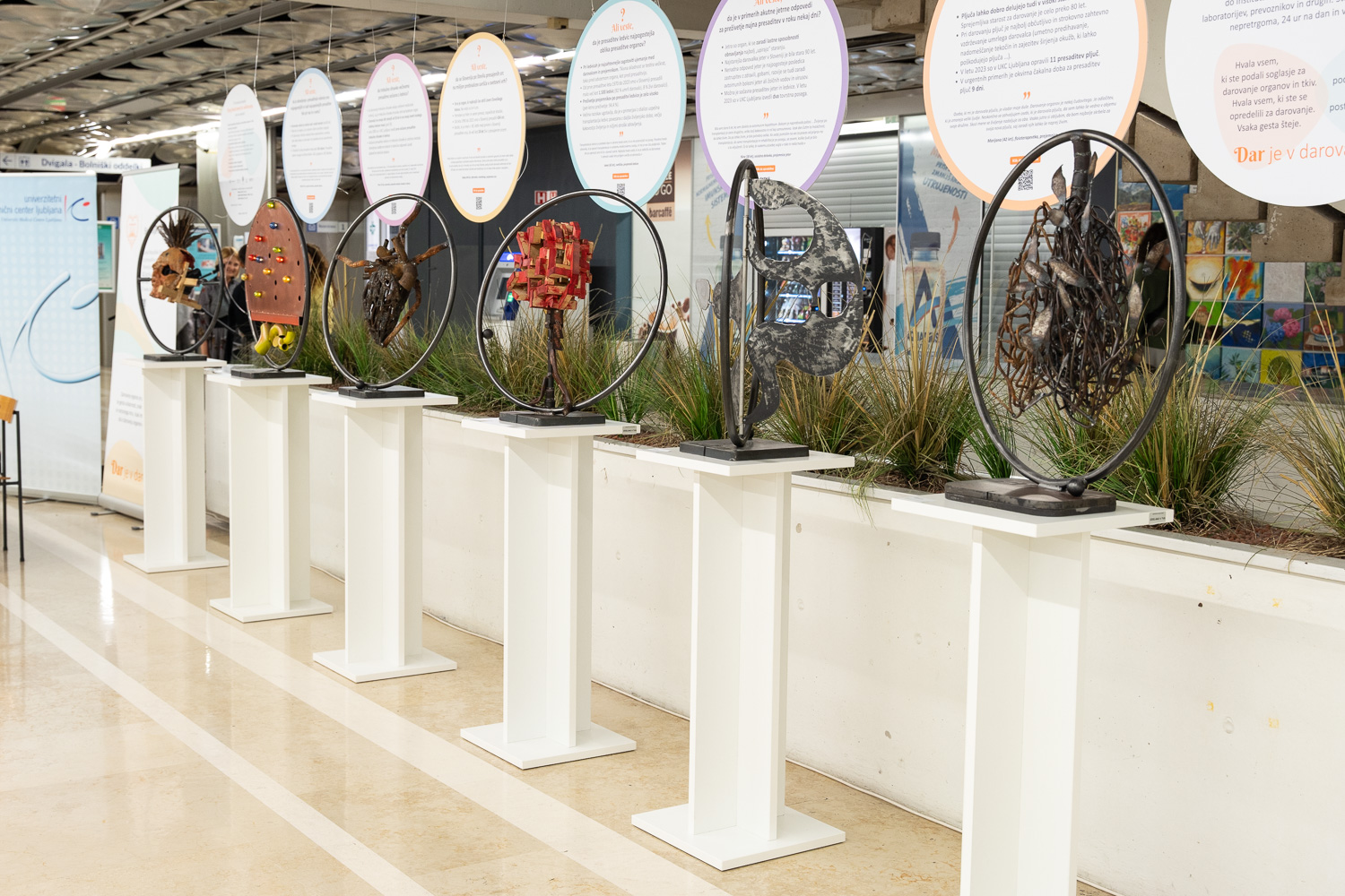 Razstava skulptur v UKC Ljubljana, foto Miran Juršič