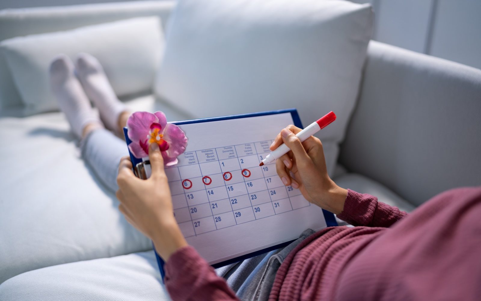 Ženska uporablja menstrualni koledarček; zanositev