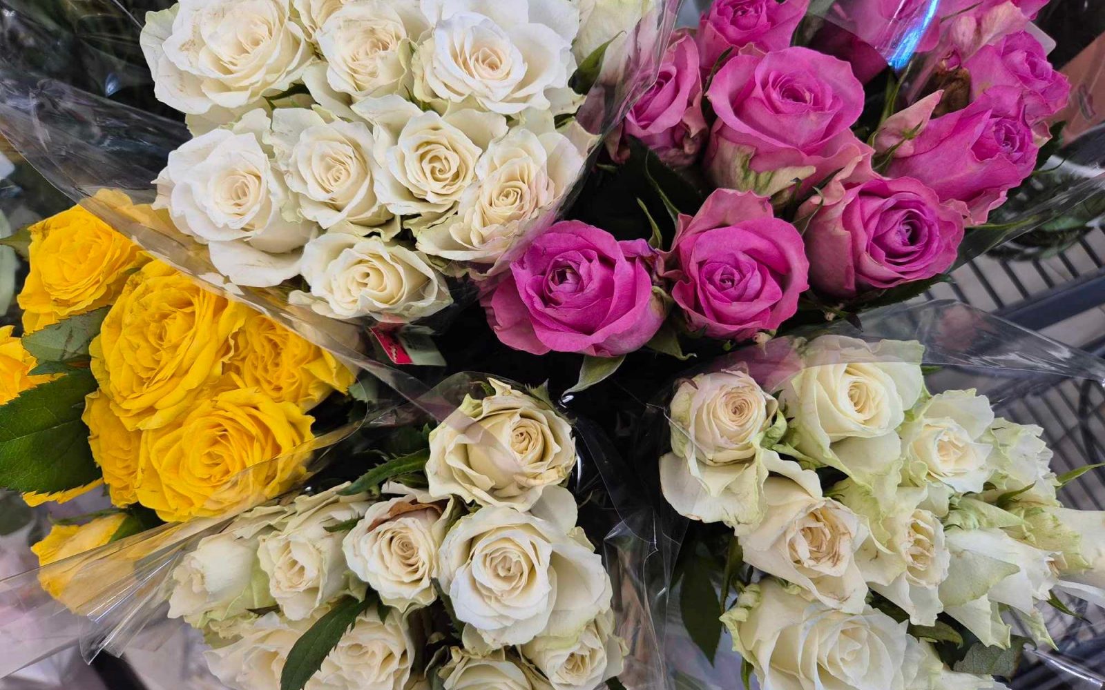 Čudoviti šopki rož za praznovanje dneva žena, 8. marca. Popolna izbira za darilo ob tem posebnem dnevu.