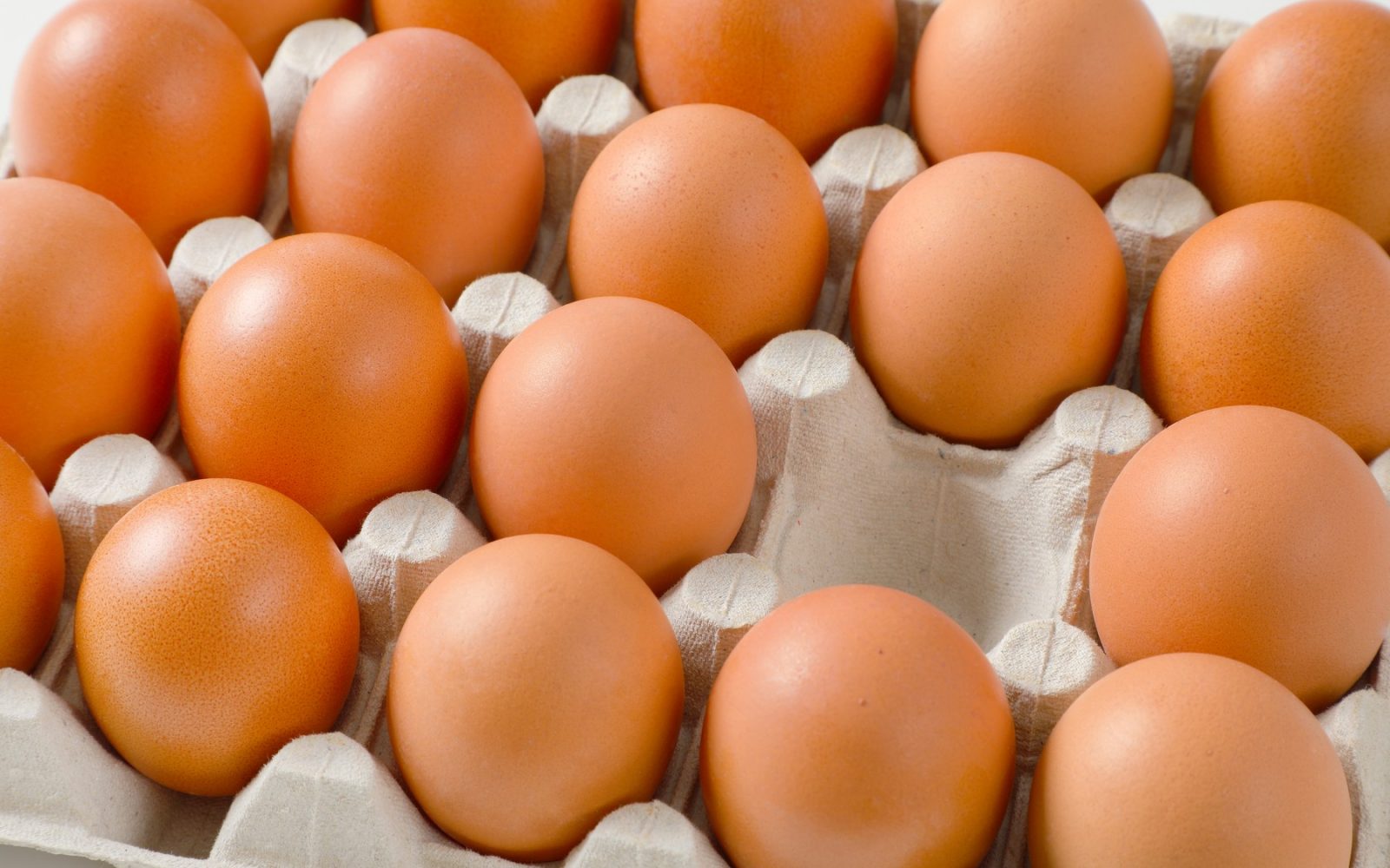 Sveža rjava jajca v kartonski embalaži – kako preveriti, ali so še užitna.