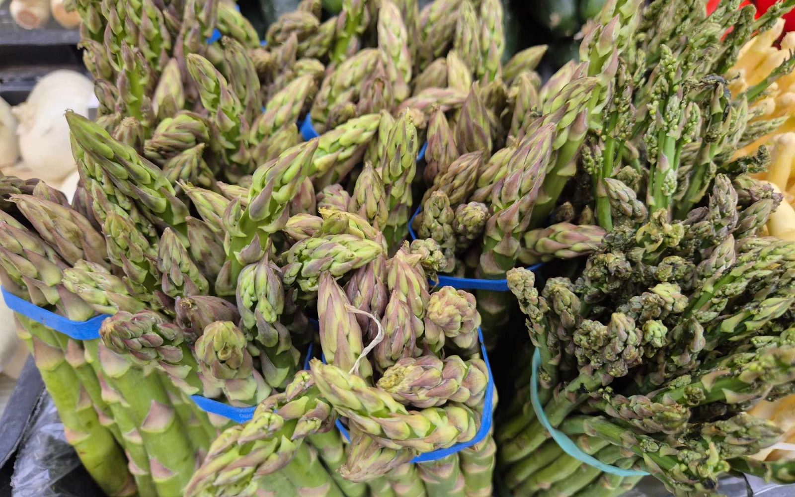 Sveži zeleni šparglji – zelenjava, ki razkriva genetsko razliko v zaznavanju vonja urina in je bogata z vlakninami, vitaminom K ter folno kislino