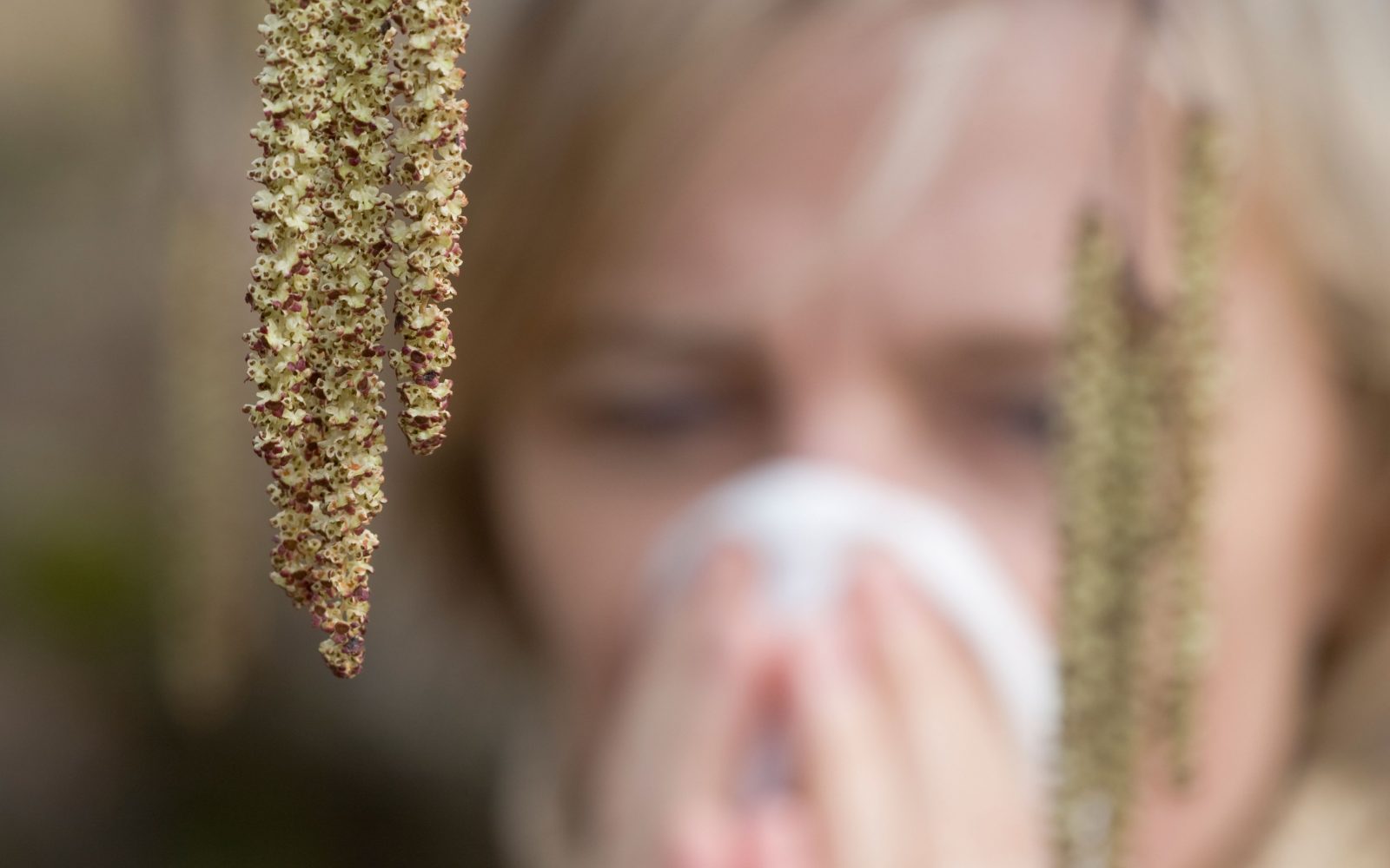 Oseba kiha in si briše nos zaradi alergije na cvetni prah spomladi