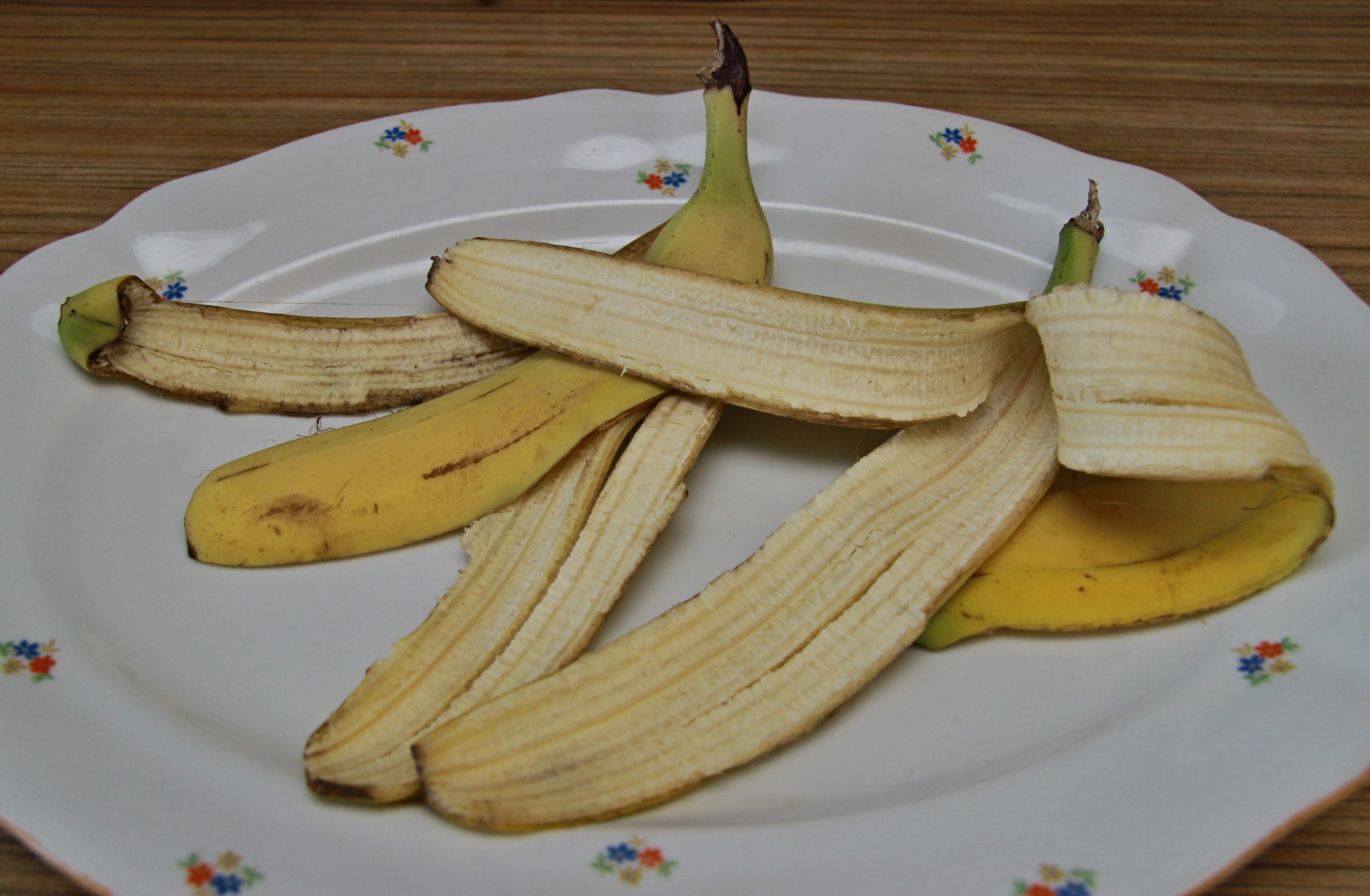 Na krožniku sta olupka dveh banan