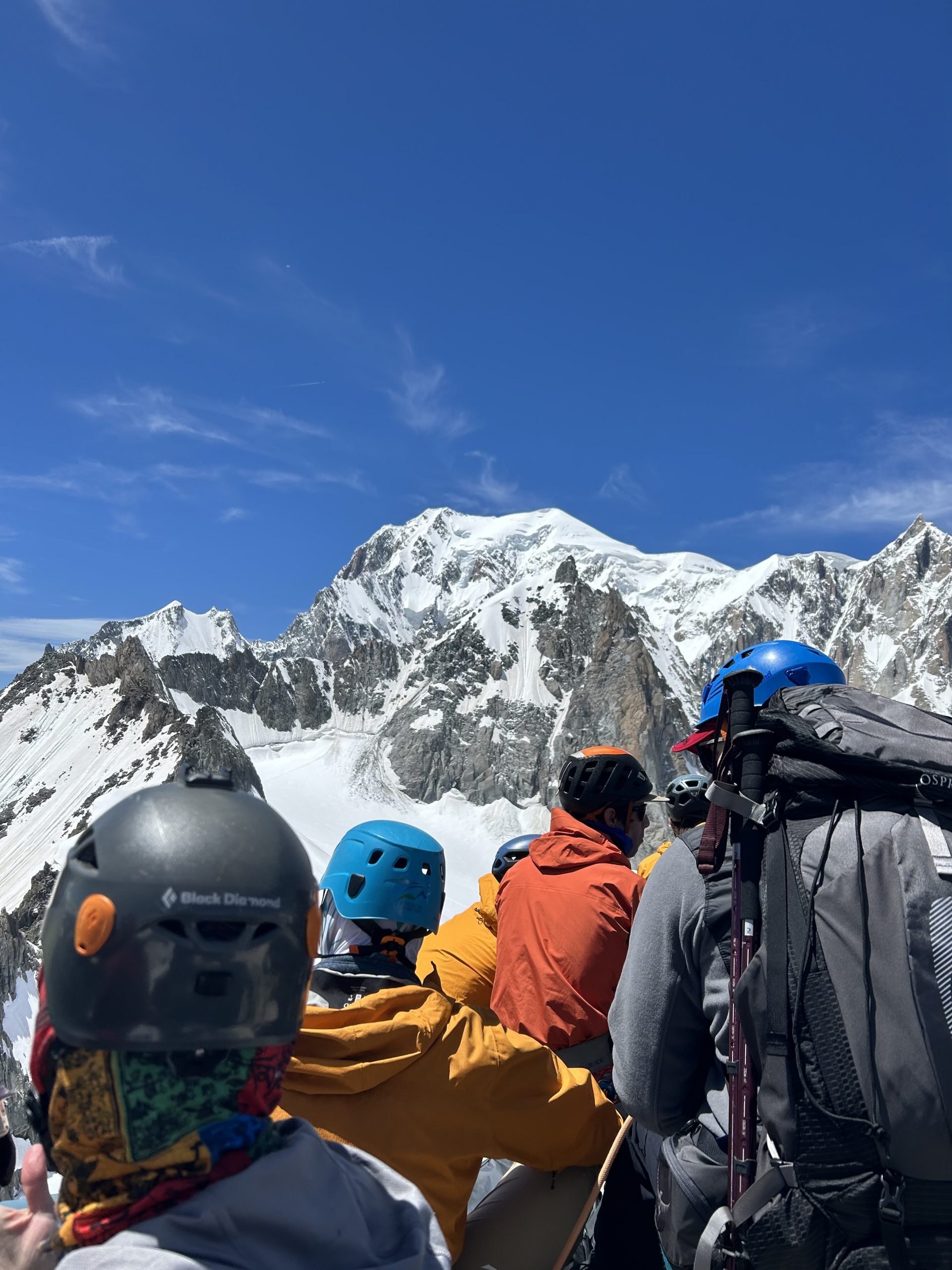 Skupina nasmejanih udeležencev odprave na Mont Blanc s hemofilijo, z mogočnimi Alpami v ozadju.