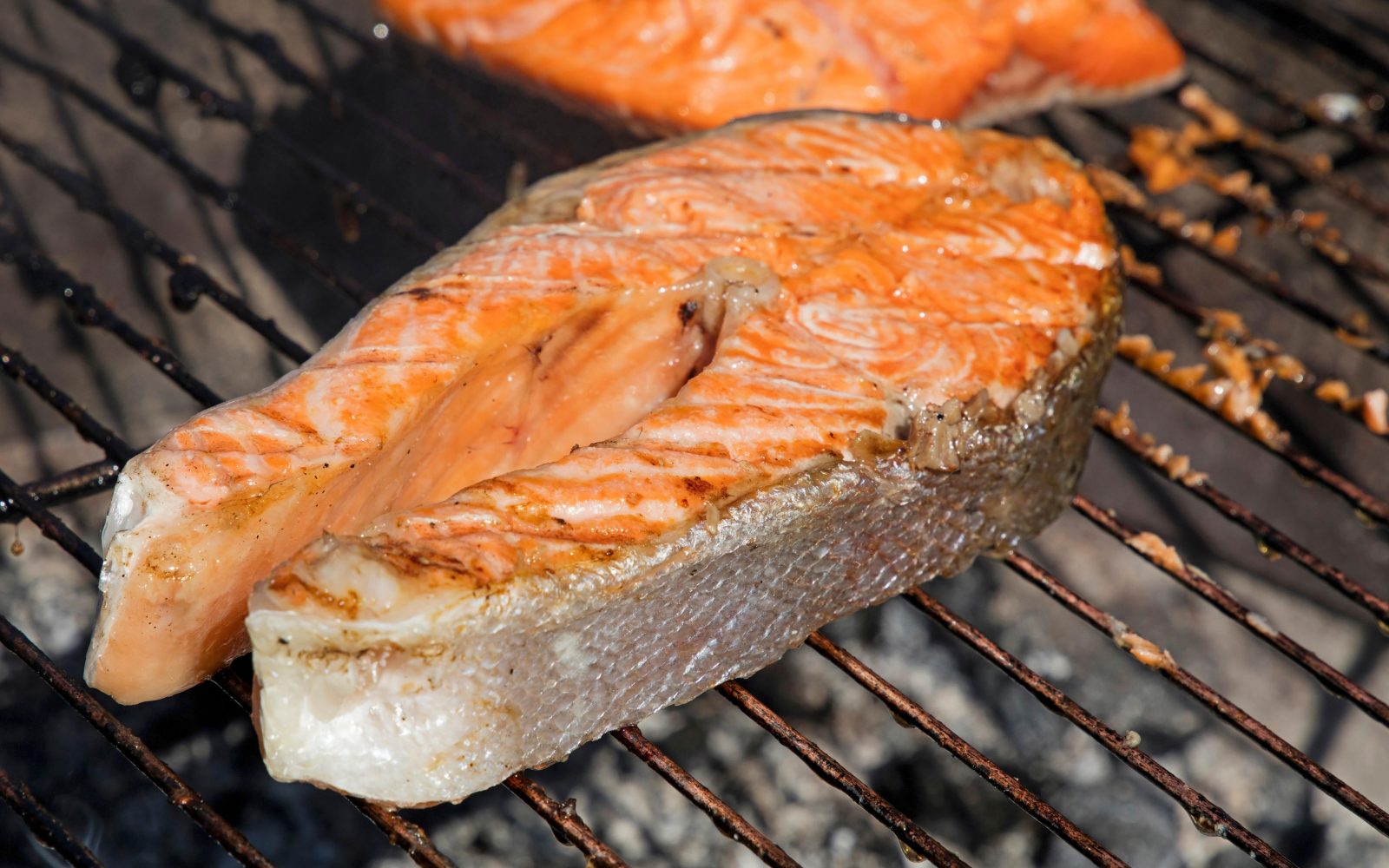 Losos na žaru - odlična beljakovinska izbira za zdrav, nizkokalorični piknik