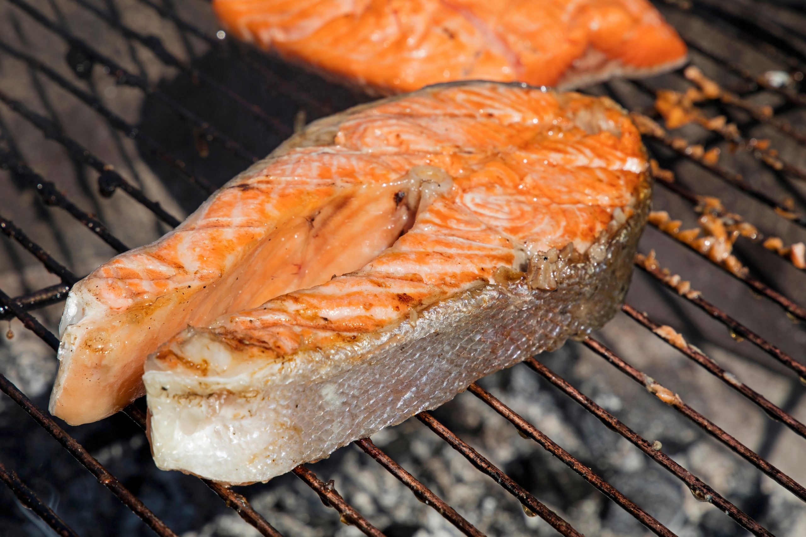 Losos na žaru - odlična beljakovinska izbira za zdrav, nizkokalorični piknik