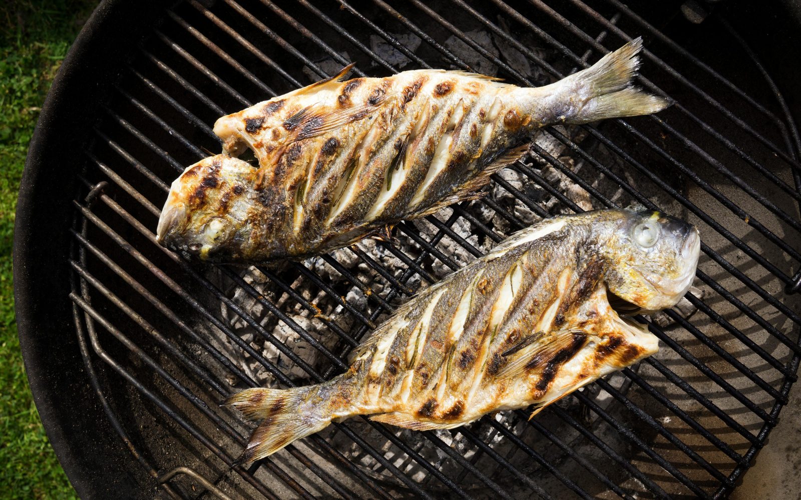 Dve ribi začinjeni z oljem, limono in rožmarinom pečeni na žaru