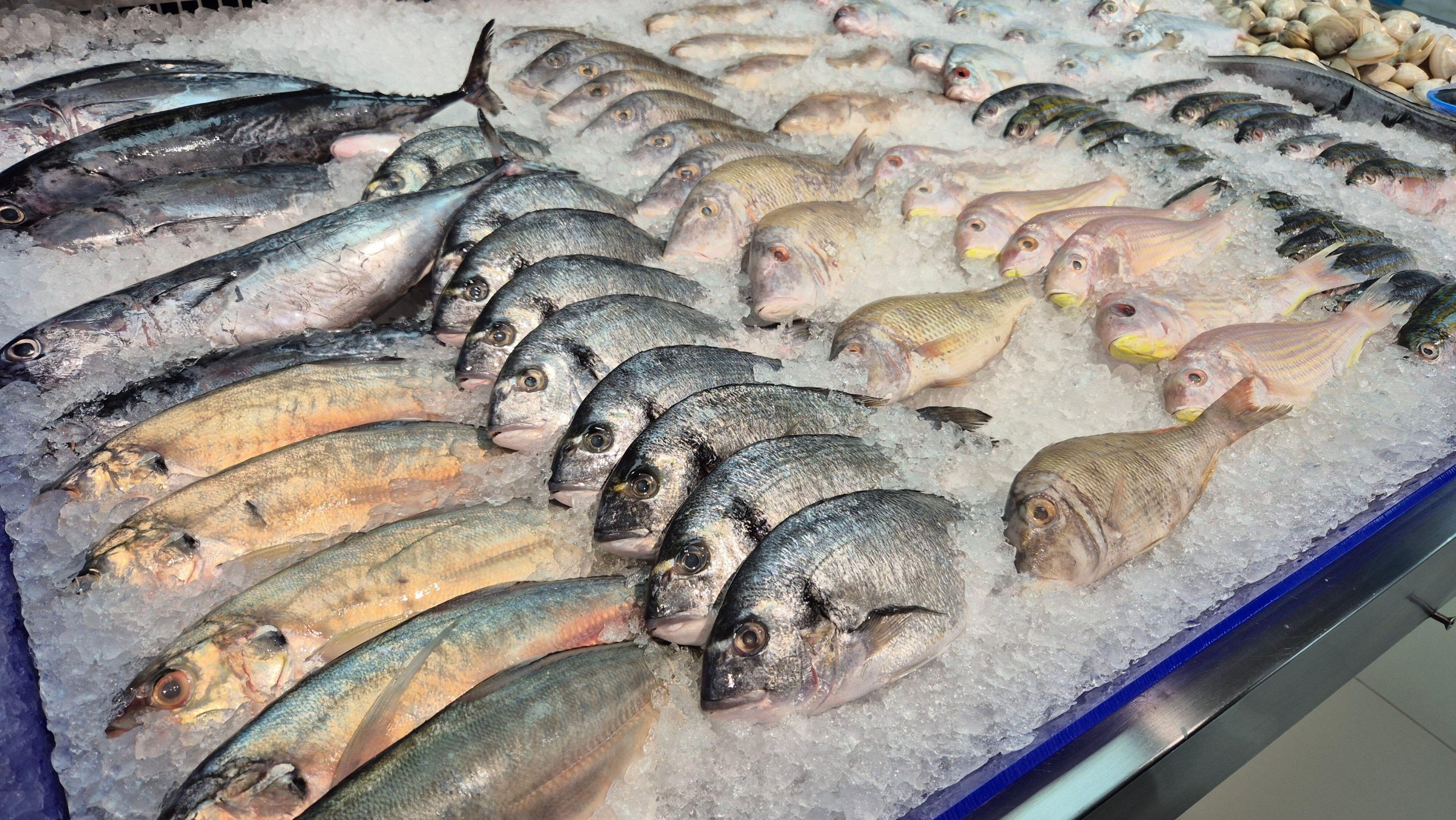 Sveže ribe razporejene na ledu na tradicionalni ribji tržnici, pripravljene za okusne ribje jedi.