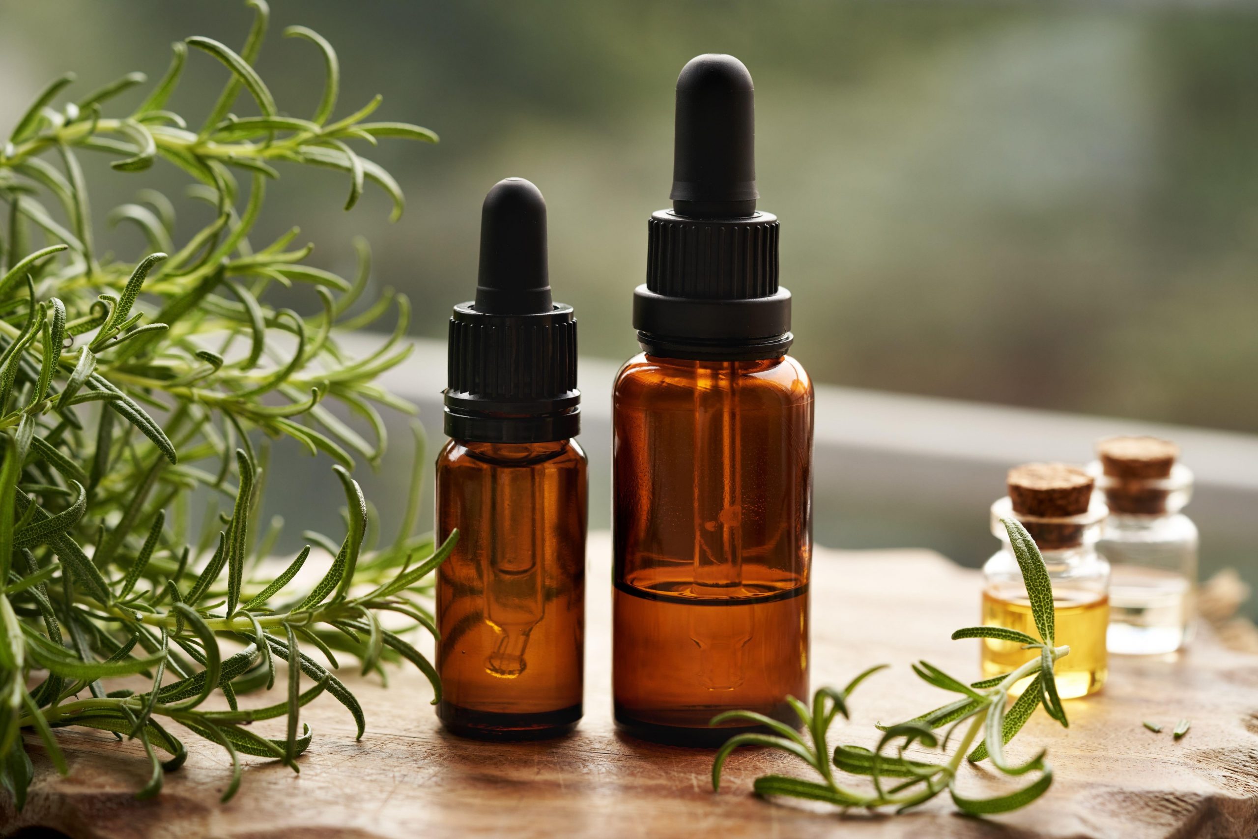 Stekleničke rožmarinovega olja ob svežih vejicah rožmarina – naravna moč antioksidantov za boljši spomin, zaščito možganov in podporo zdravju.