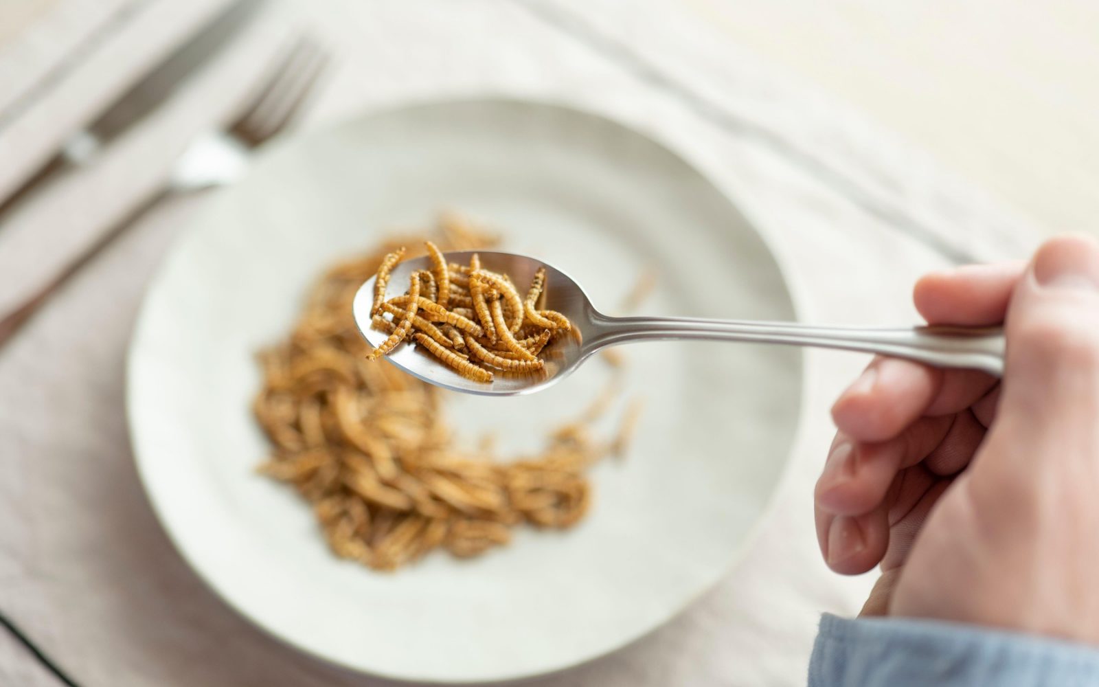 Bi pojedli to? Slovenci in prehranski predsodki do žuželk