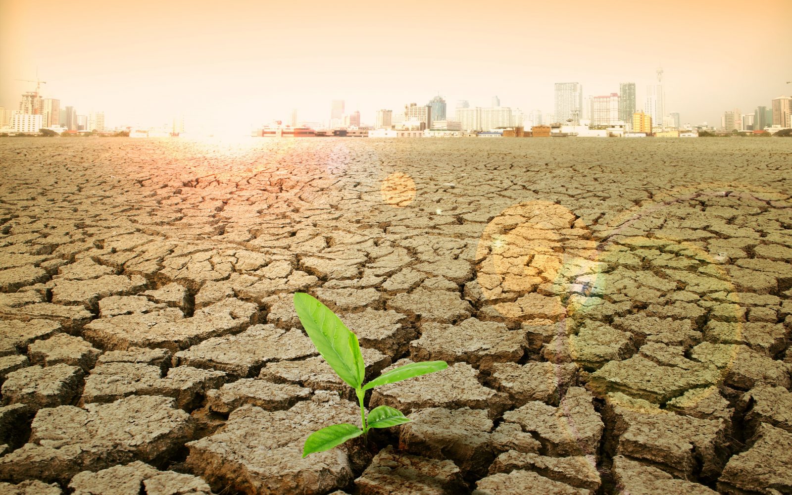 Koncept globalne katastrofe, družbenih napetosti, poslabševanja okoljskih razmer in slabšanje kakovosti življenja