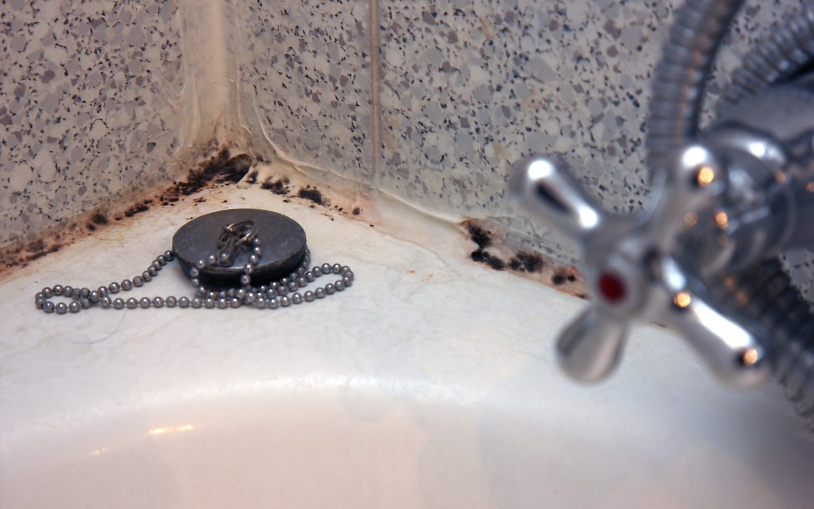 Plesen na steni in med fugami v kopalnici – pogost vzrok poletnih alergij zaradi vlage in slabega prezračevanja.