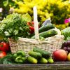 Na mizi in v košari so sezonska, lokalno pridelana živila: paradižnik, kumara, bučke, jajčevec, grozdje, zelje, regrat, paprika, jabolko, hruška, peteršilj, solata.