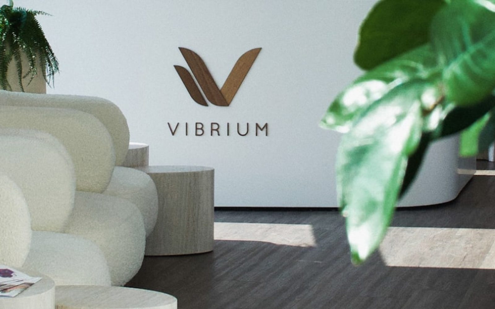 medicinska termografija. Vibrium